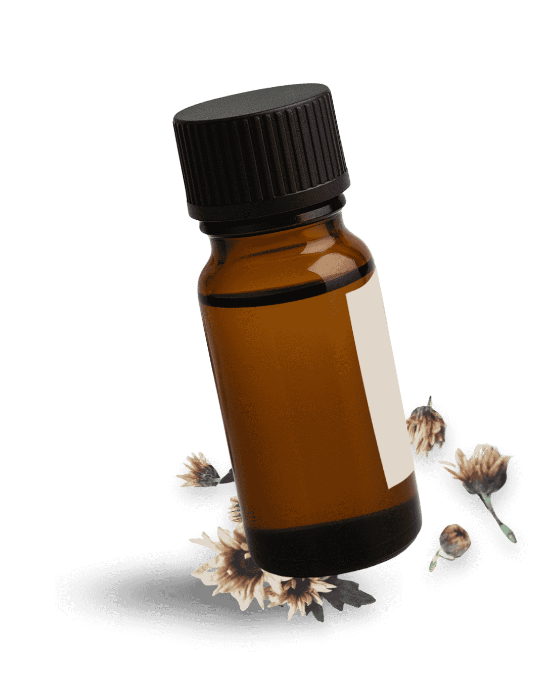 תמונת אוירה של תמצית באך, הלנה